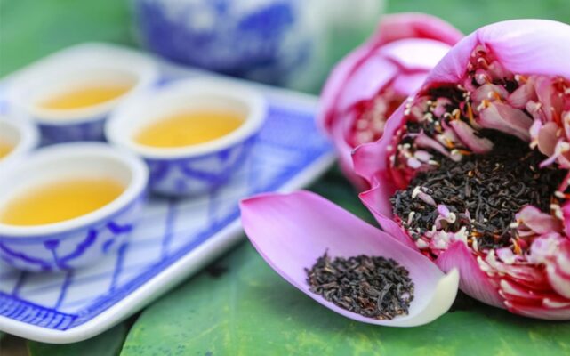 Tìm hiểu và thưởng thức các loại trà sen