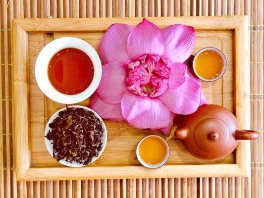 Tìm hiểu và thưởng thức các loại trà sen