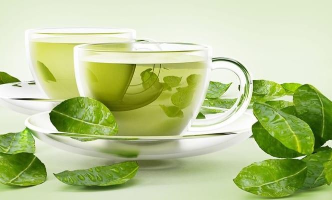 Tìm hiểu về các loại lục trà và những điều thú vị khi thưởng thức trà