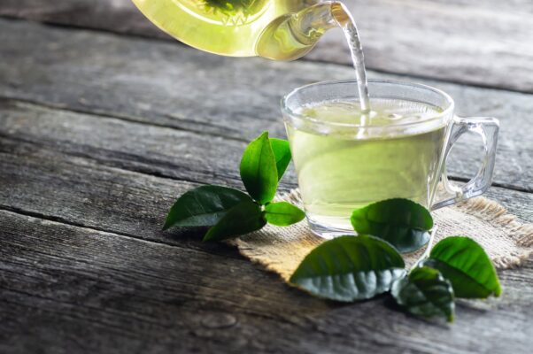 Tìm hiểu về các loại lục trà và những điều thú vị khi thưởng thức trà