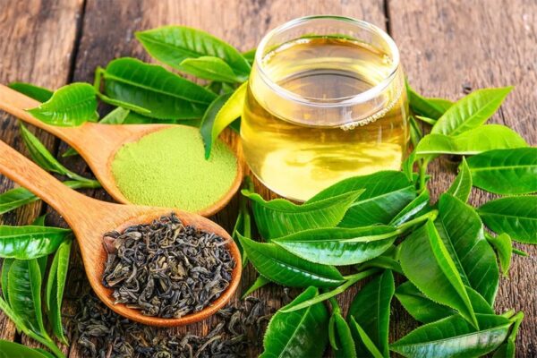 Tìm hiểu về các loại lục trà và những điều thú vị khi thưởng thức trà