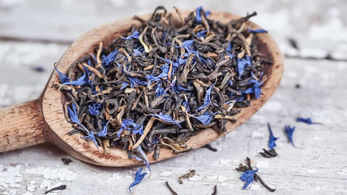 các loại trà ngon