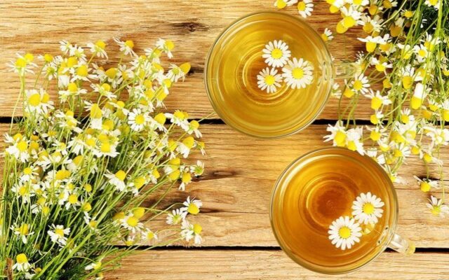 trà hoa cúc loại nào tốt
