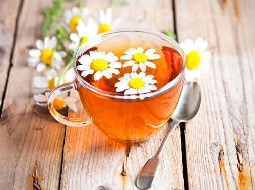 trà hoa cúc loại nào tốt