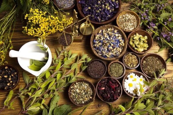 các loại trà uống đẹp da